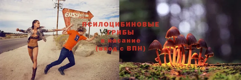 Псилоцибиновые грибы MAGIC MUSHROOMS Ленск